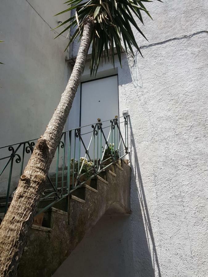 My Home Sorrento Exterior photo